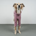 Bild in Galerie-Betrachter laden, PULLOVER Windhund Mulberry
