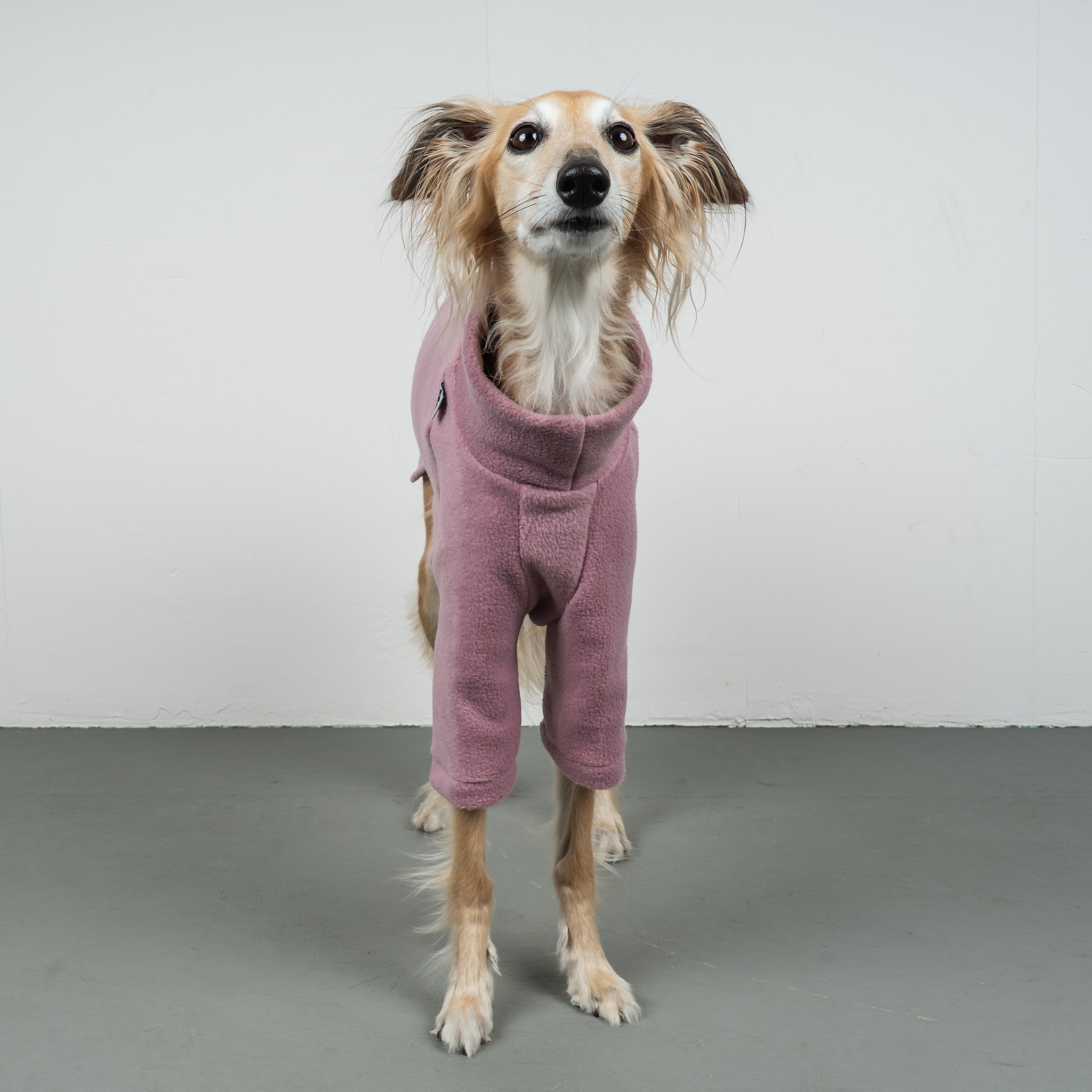 PULLOVER Windhund Mulberry