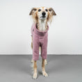 Bild in Galerie-Betrachter laden, PULLOVER Windhund Mulberry
