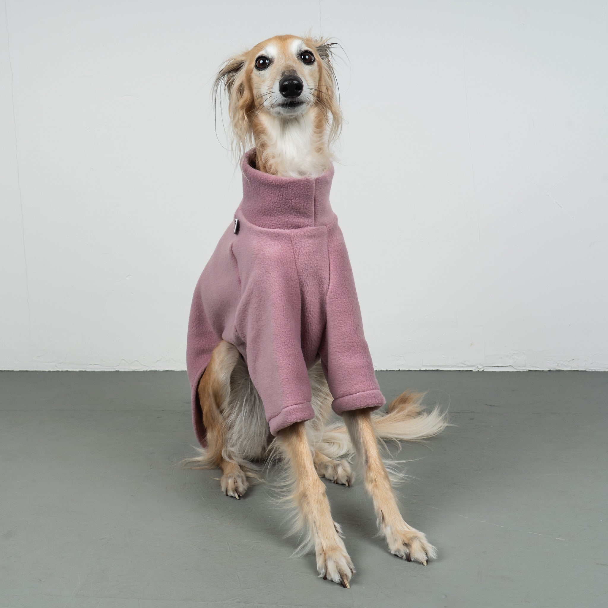 PULLOVER Windhund Mulberry