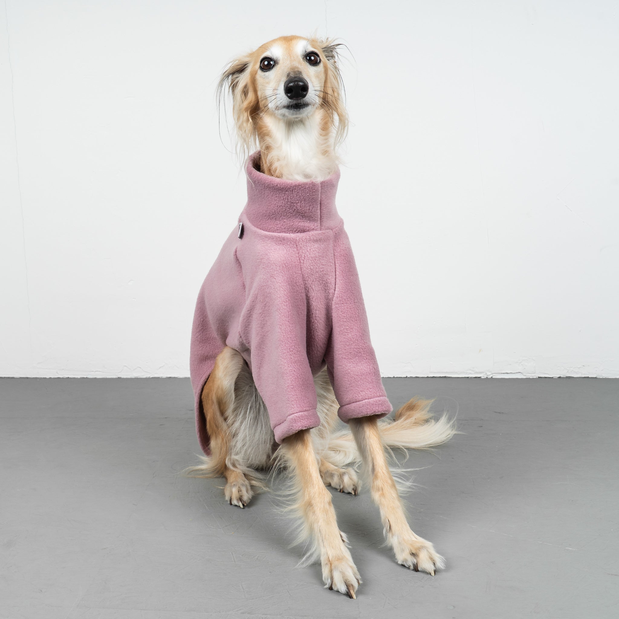 PULLOVER Windhund Mulberry