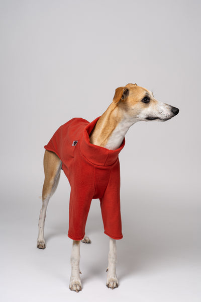 Terracottafarbener Pullover aus Polar Fleece – Whippet zeigt bequeme Windhundmode mit Stil