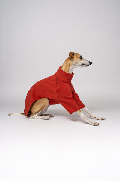 Whippet im Fleece-Pullover in Terracotta – körpernaher Schnitt für viel Bewegungsfreiheit