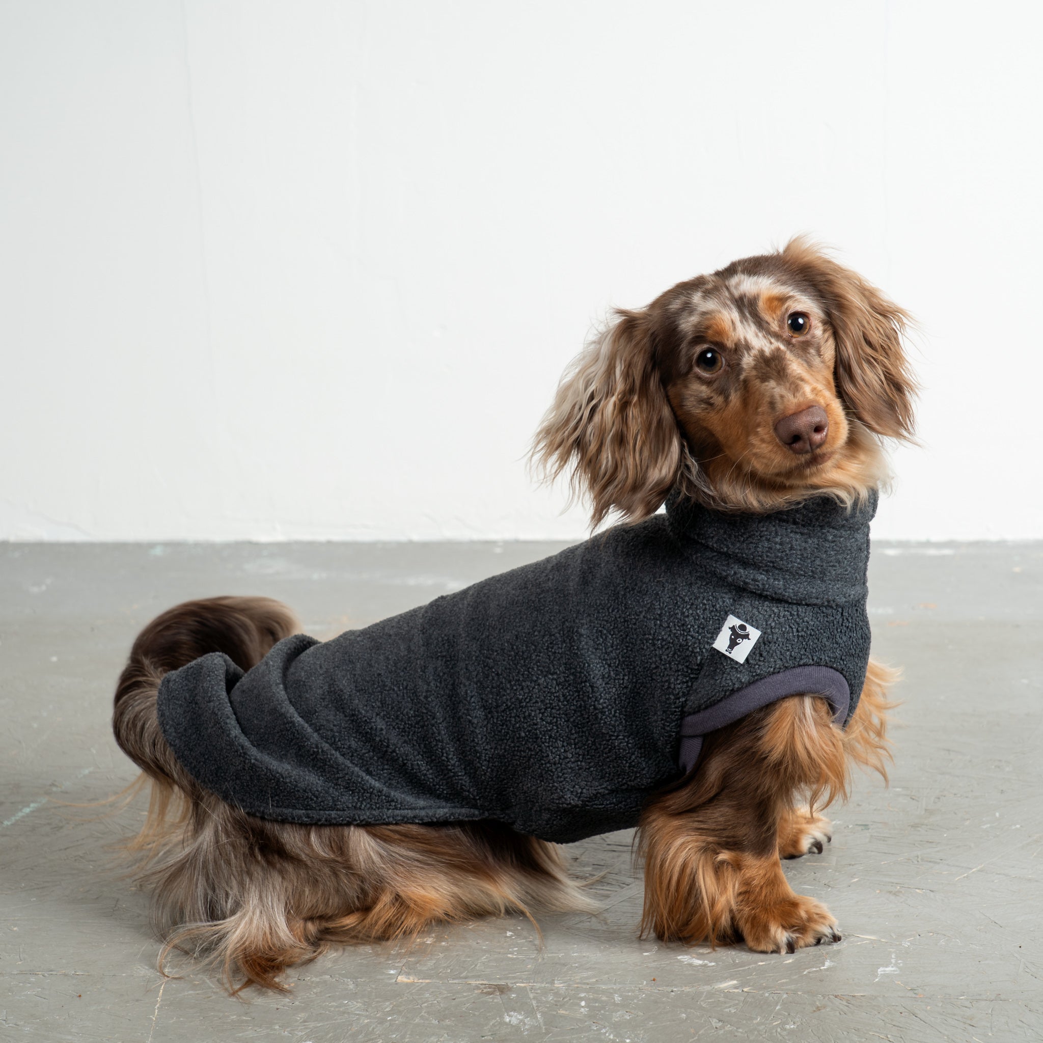 Fleece Shirt Dackel Anthrazit – Hundepullover und Hundekleidung für Dackel und Windhunde – Seitenansicht am Hund