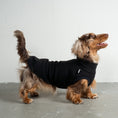 Bild in Galerie-Betrachter laden, Fleece Shirt Dackel Schwarz – hochwertige Hundekleidung für Dackel, Windspiele und Windhunde von Karma Hund Berlin – Ganzkörperansicht am Hund
