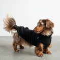 Bild in Galerie-Betrachter laden, Fleece Shirt Dackel Schwarz – ergonomischer Schnitt für Dackel und Windhunde – handgefertigte Hundekleidung
