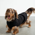 Bild in Galerie-Betrachter laden, Fleece Shirt Dackel Schwarz – optimale Passform für Windhunde, Whippets und Dackel
