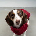 Bild in Galerie-Betrachter laden, FLEECE SHIRT Dackel Bordeaux
