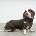 Bild in Galerie-Betrachter laden, FLEECE SHIRT Dackel Dark Olive
