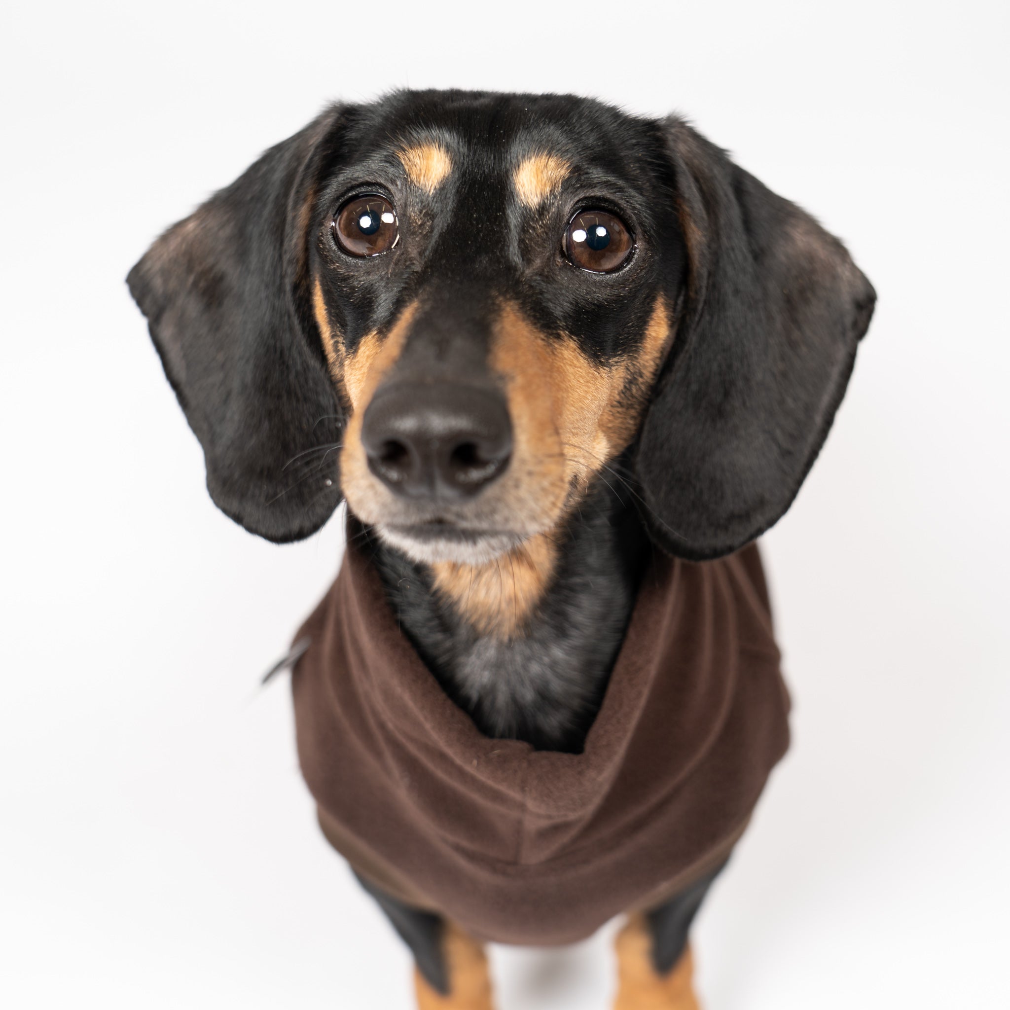 FLEECE SHIRT Dackel Espresso