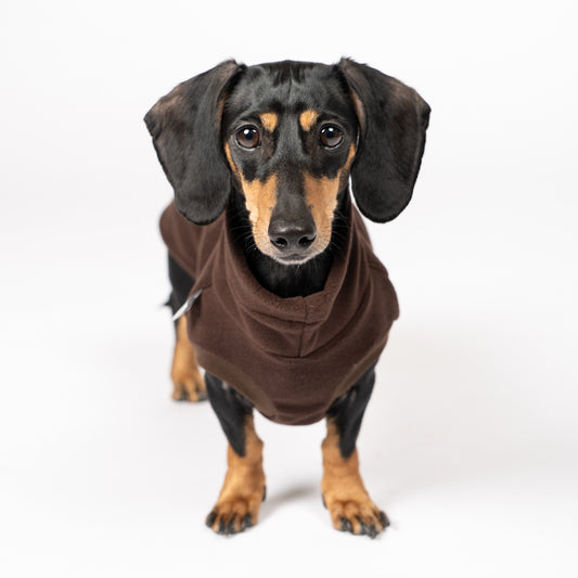 Fleece Shirt Dackel Espresso – hochwertige Hundekleidung für Dackel, Windspiele und Windhunde von Karma Hund Berlin – Frontansicht am Hund