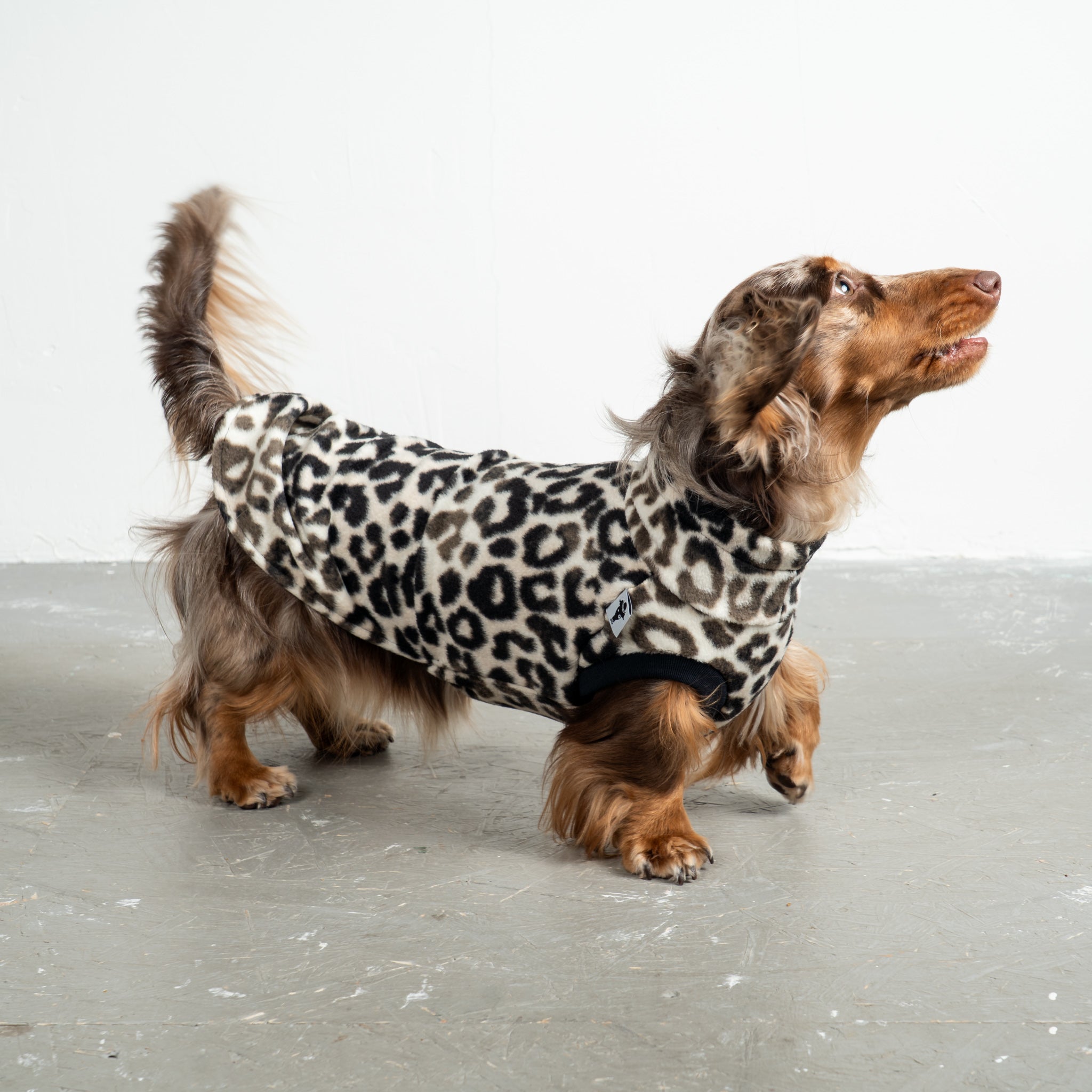 Fleece Shirt Dackel Leo – Hund in Bewegung – bequeme Hundekleidung für Dackel