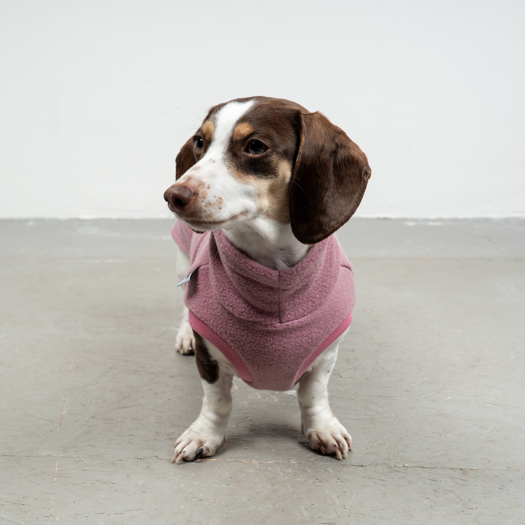 FLEECE SHIRT Dackel Mulberry