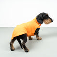 Bild in Galerie-Betrachter laden, FLEECE SHIRT Dackel Orange
