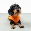 Bild in Galerie-Betrachter laden, FLEECE SHIRT Dackel Orange
