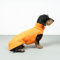 Bild in Galerie-Betrachter laden, FLEECE SHIRT Dackel Orange
