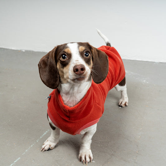FLEECE SHIRT Dackel Terracotta