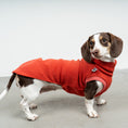 Bild in Galerie-Betrachter laden, FLEECE SHIRT Dackel Terracotta
