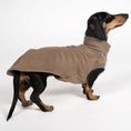 Bild in Galerie-Betrachter laden, FLEECE SHIRT Dackel Walnut

