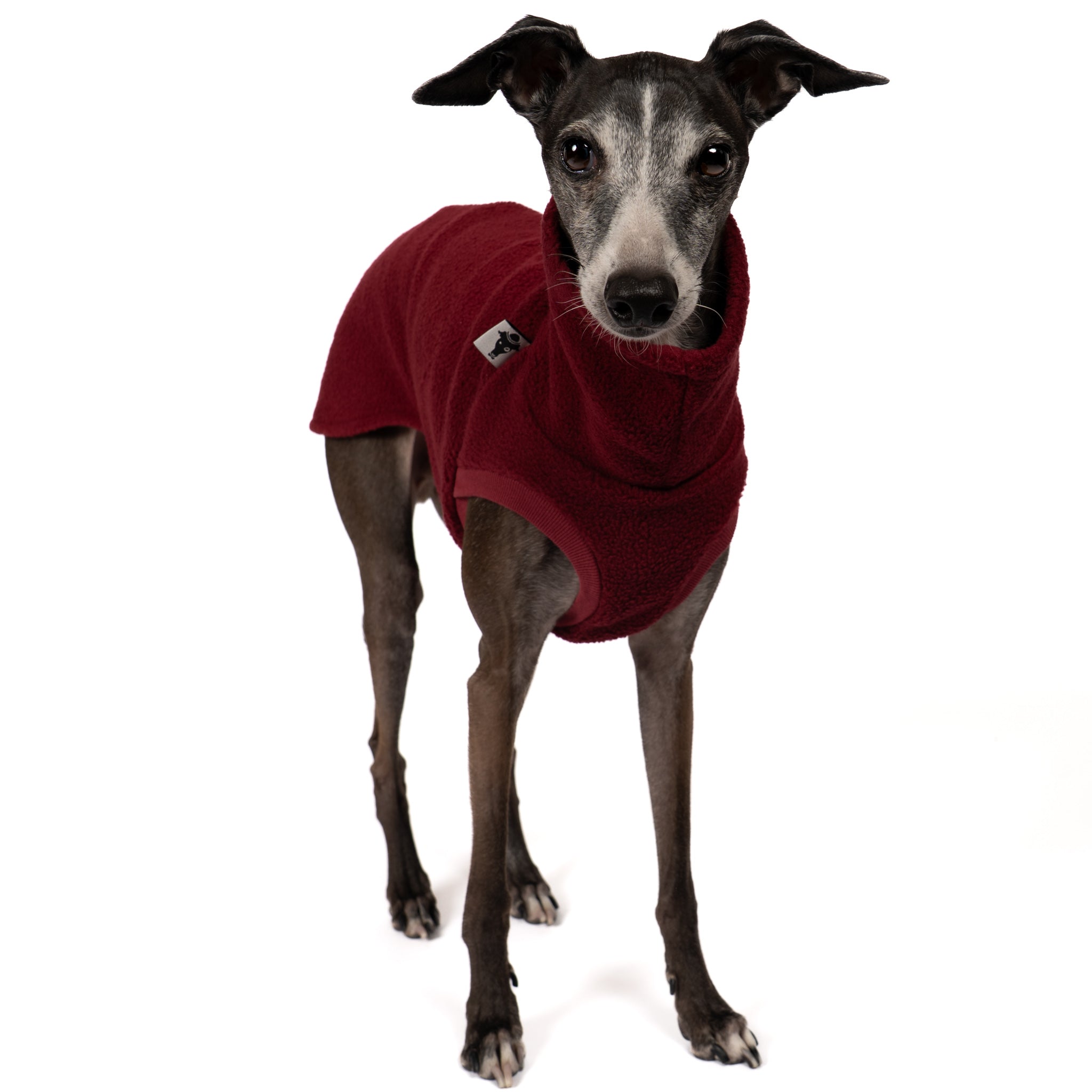 Fleece Shirt Iggy Bordeaux – Close-up am Hund – hochwertige Hundekleidung von Karma Hund