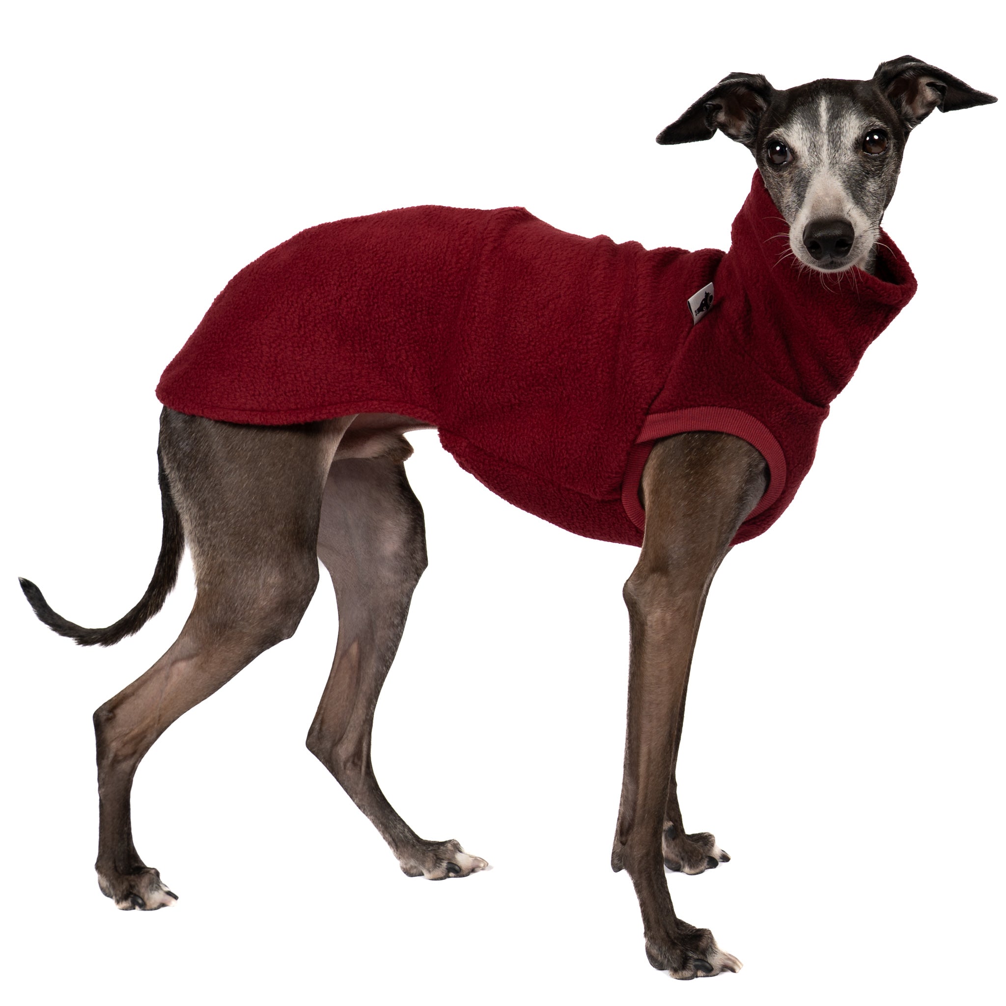 Fleece Shirt Iggy Bordeaux – hochwertige Hundekleidung für Dackel, Windspiele und Windhunde von Karma Hund Berlin – Ganzkörperansicht am Hund