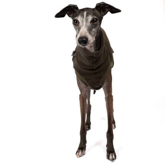Fleece Shirt Iggy Dark Olive – ergonomischer Schnitt für Dackel und Windspiele – handgefertigte Hundekleidung