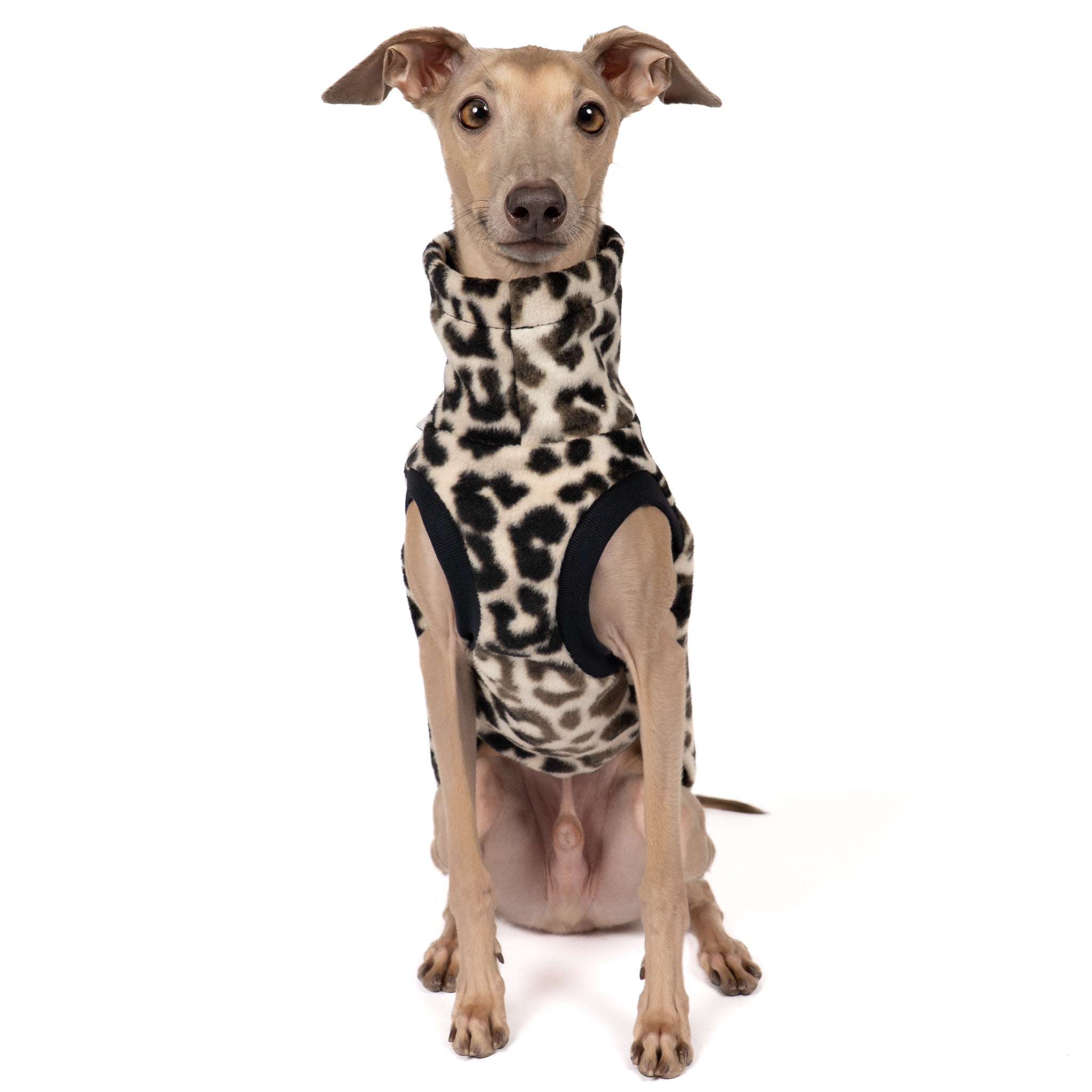 FLEECE SHIRT Iggy Leo