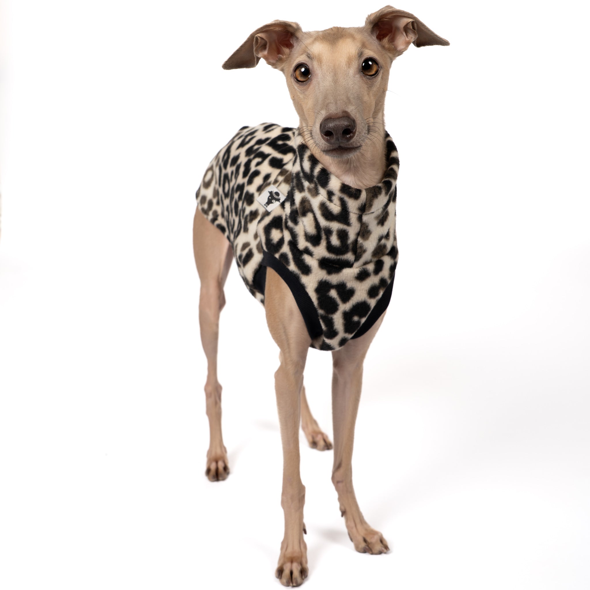 FLEECE SHIRT Iggy Leo