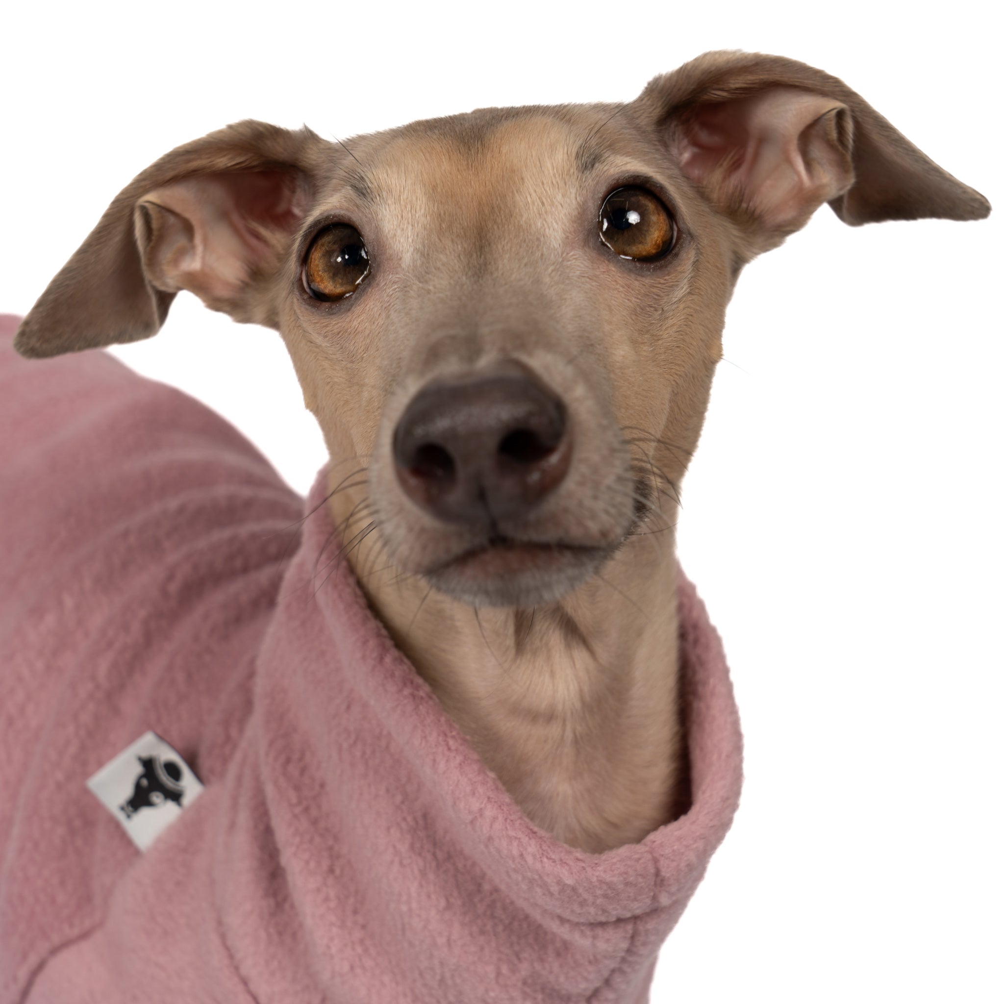 FLEECE SHIRT Iggy Mulberry