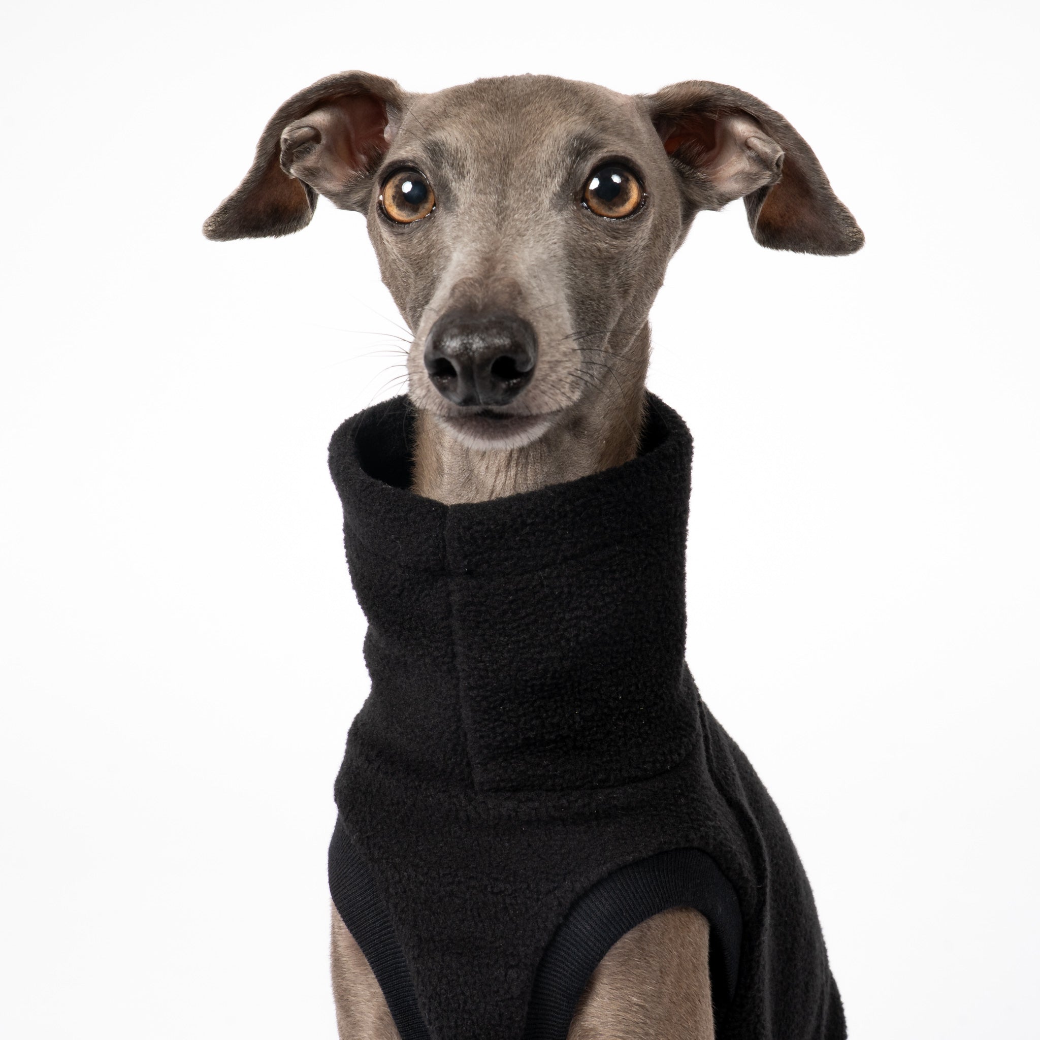 FLEECE SHIRT Iggy Schwarz