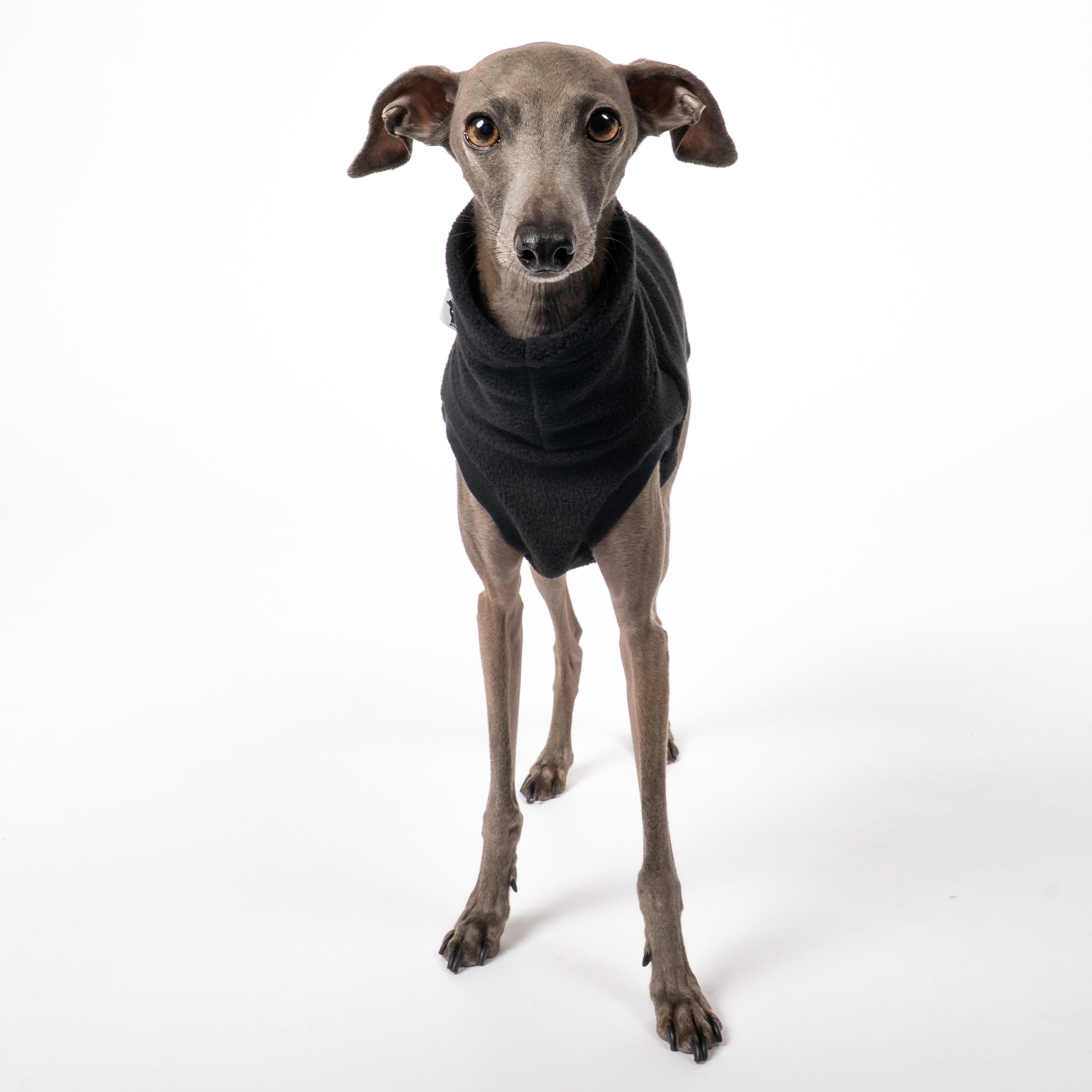 FLEECE SHIRT Iggy Schwarz