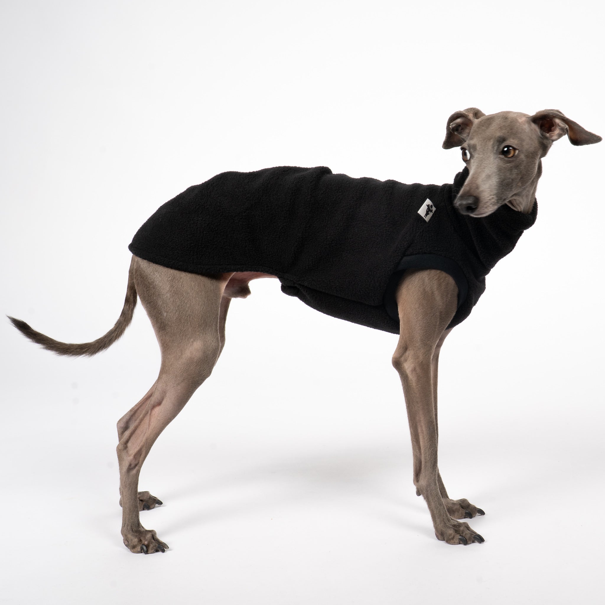 FLEECE SHIRT Iggy Schwarz