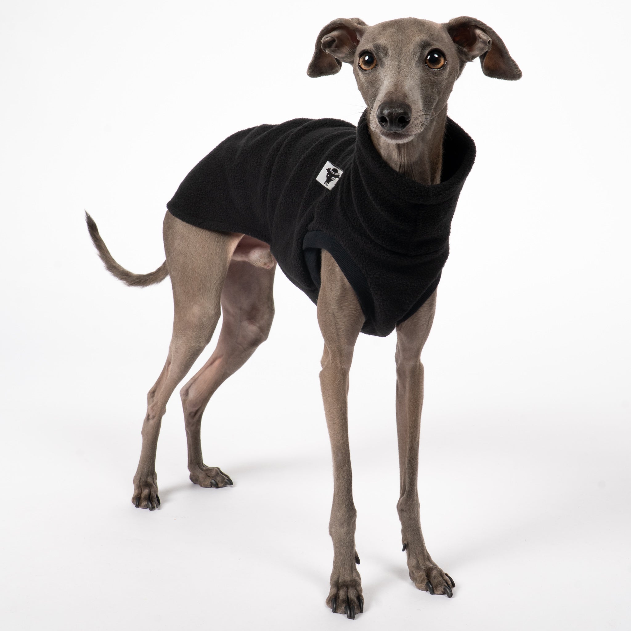 FLEECE SHIRT Iggy Schwarz