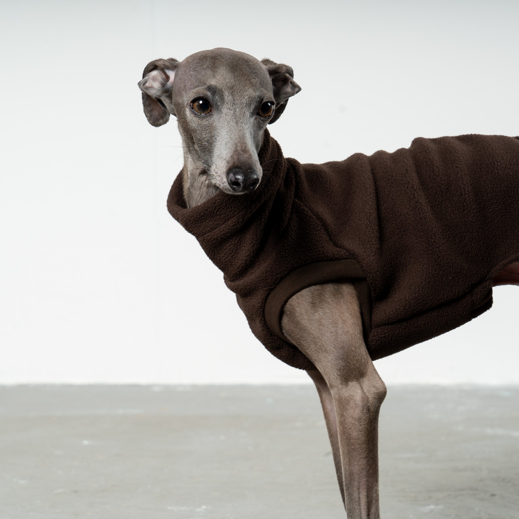 FLEECE SHIRT Iggy Espresso