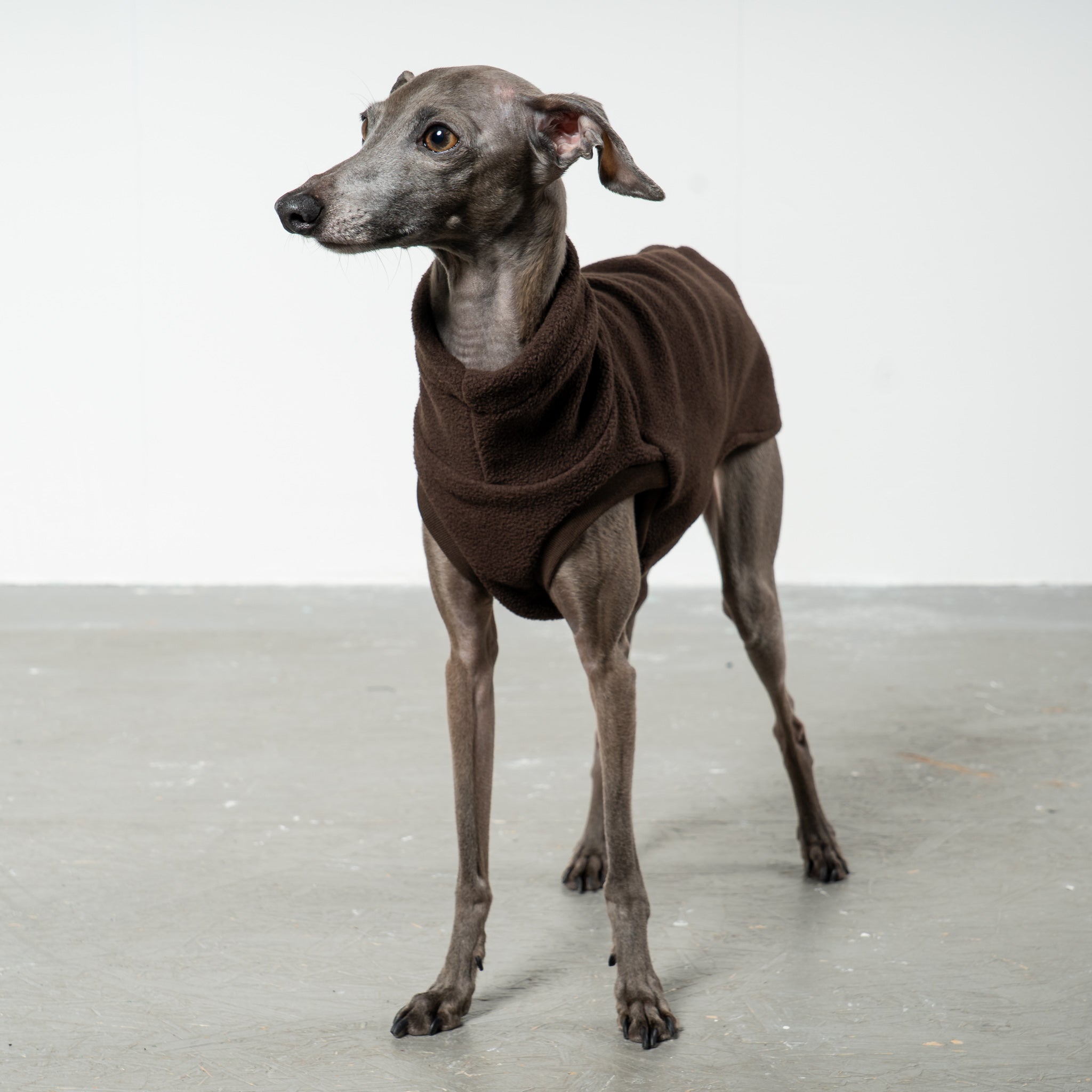 FLEECE SHIRT Iggy Espresso