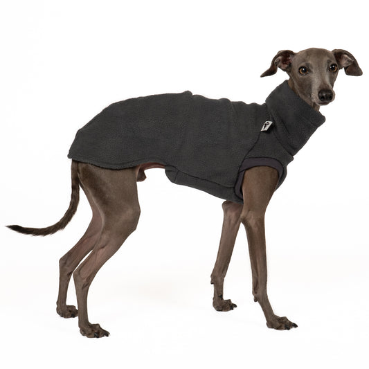 FLEECE SHIRT Iggy Graphite