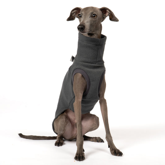 Fleece Shirt Iggy Graphite – ergonomischer Schnitt für Dackel und Windspiele – handgefertigte Hundekleidung