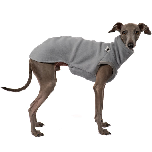 Fleece Shirt Iggy Light Grey – hochwertige Hundekleidung für Dackel, Windspiele und Windhunde von Karma Hund Berlin – Ganzkörperansicht am Hund