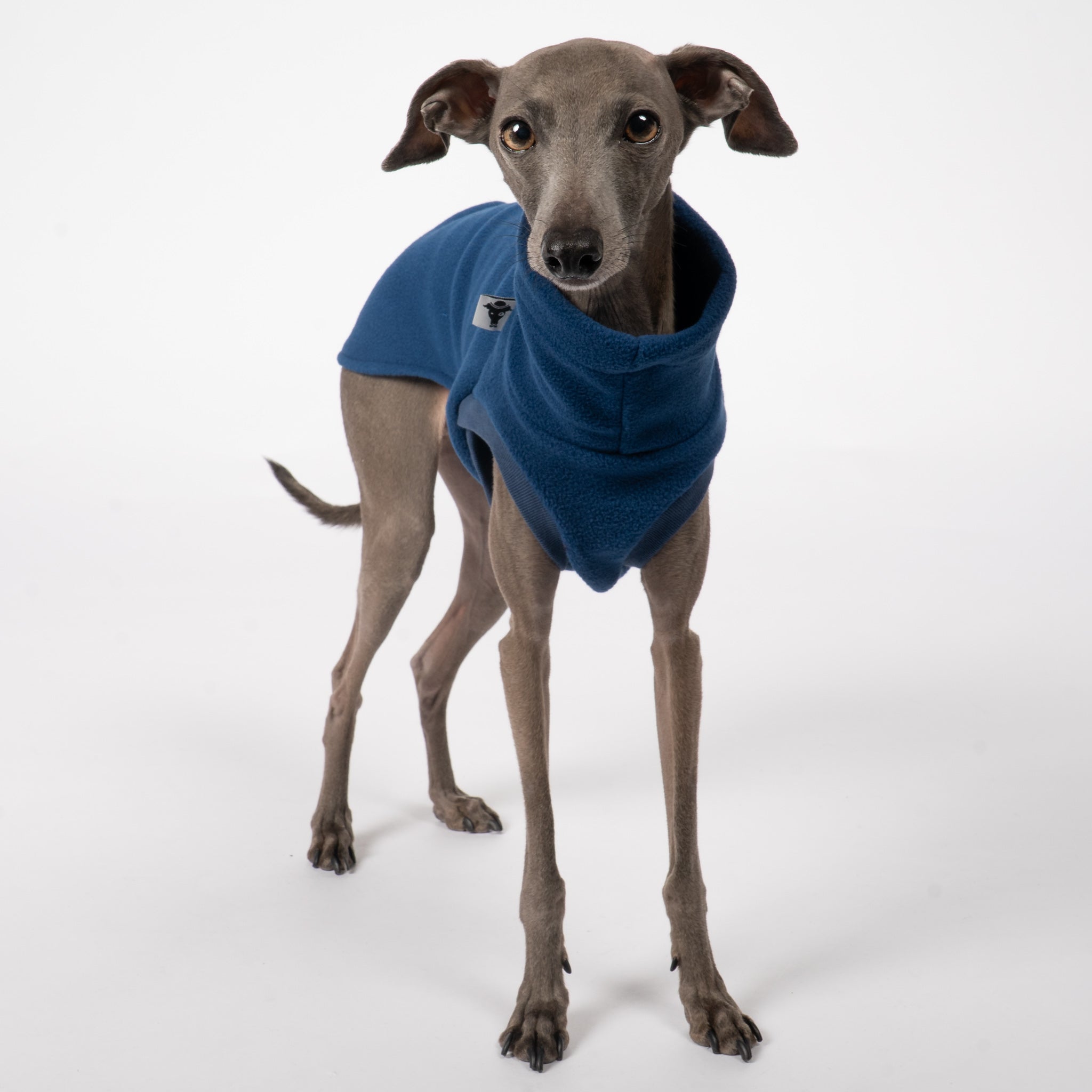 Fleece Shirt Iggy Navy – optimale Passform für Windhunde, Windspiele und Dackel