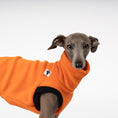 Bild in Galerie-Betrachter laden, Fleece Shirt Iggy Orange – ergonomischer Schnitt für Dackel und Windspiele – handgefertigte Hundekleidung
