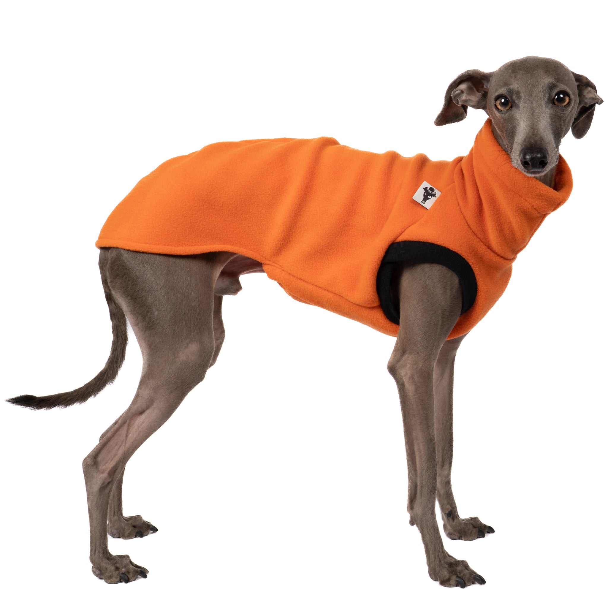 Fleece Shirt Iggy Orange – hochwertige Hundekleidung für Dackel, Windspiele und Windhunde von Karma Hund Berlin – Ganzkörperansicht am Hund