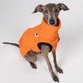Bild in Galerie-Betrachter laden, Fleece Shirt Iggy Orange – Close-up am Hund – hochwertige Hundekleidung von Karma Hund
