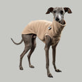Bild in Galerie-Betrachter laden, FLEECE SHIRT Iggy Sand Beige
