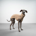 Bild in Galerie-Betrachter laden, FLEECE SHIRT Iggy Sand Beige
