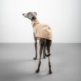 Bild in Galerie-Betrachter laden, FLEECE SHIRT Iggy Sand Beige
