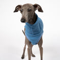 Bild in Galerie-Betrachter laden, Fleece Shirt Iggy Sky Blue – Close-up am Hund – hochwertige Hundekleidung von Karma Hund
