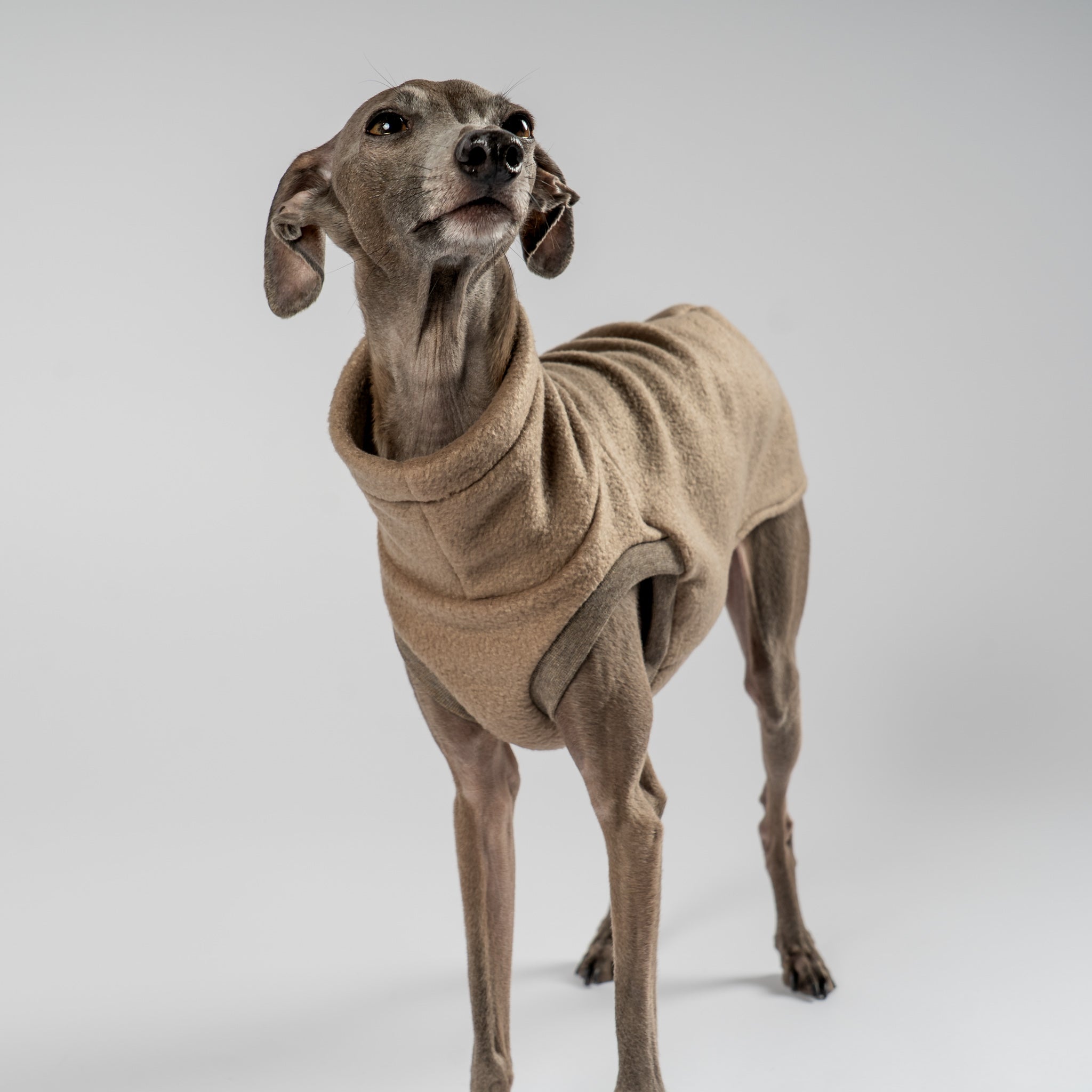 FLEECE SHIRT Iggy Walnut