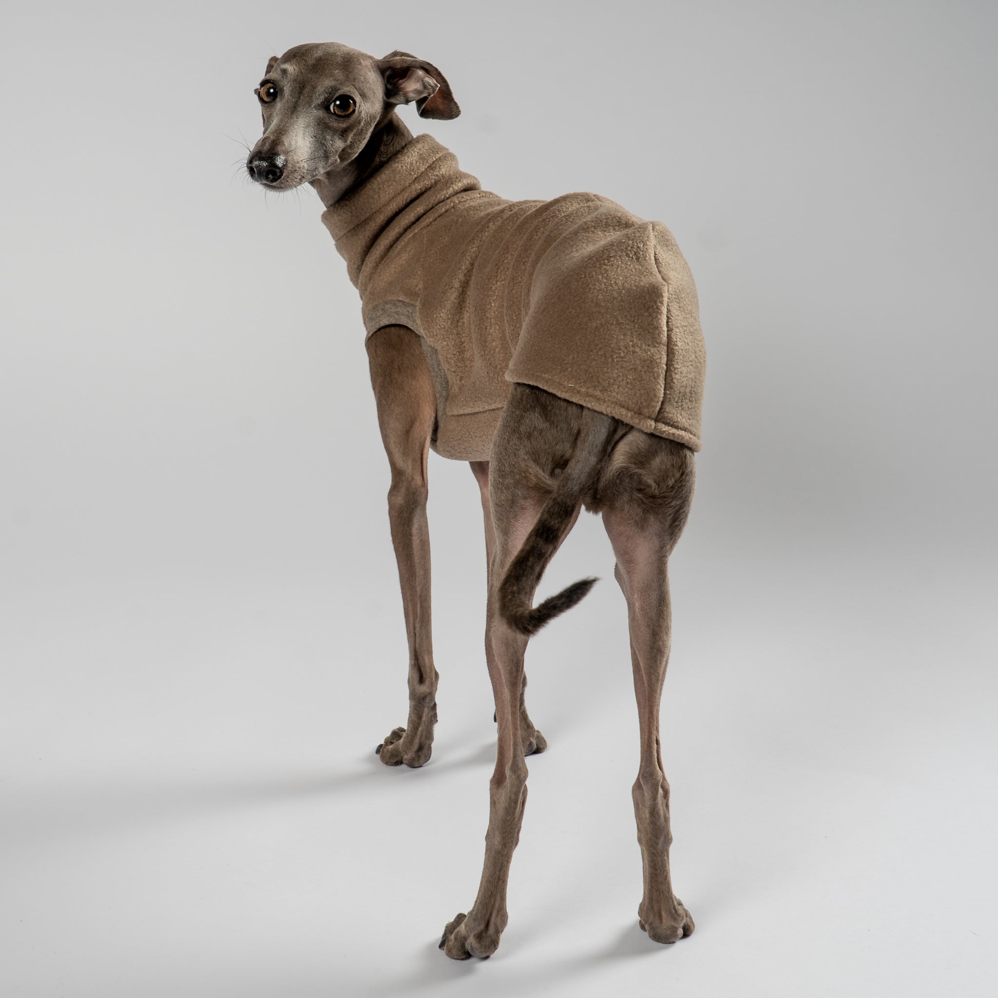 FLEECE SHIRT Iggy Walnut