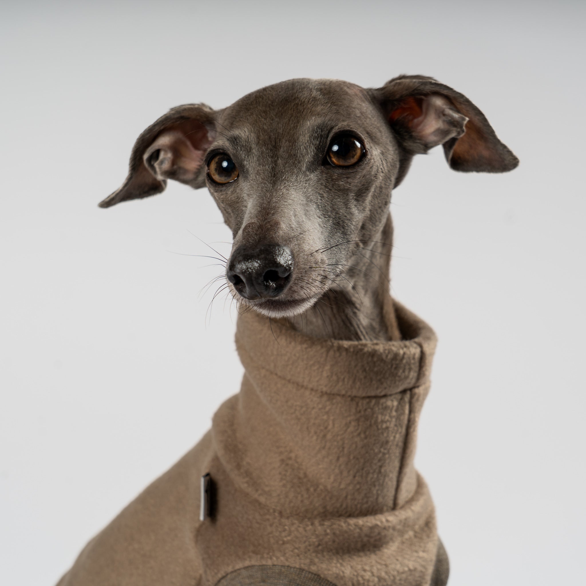 FLEECE SHIRT Iggy Walnut