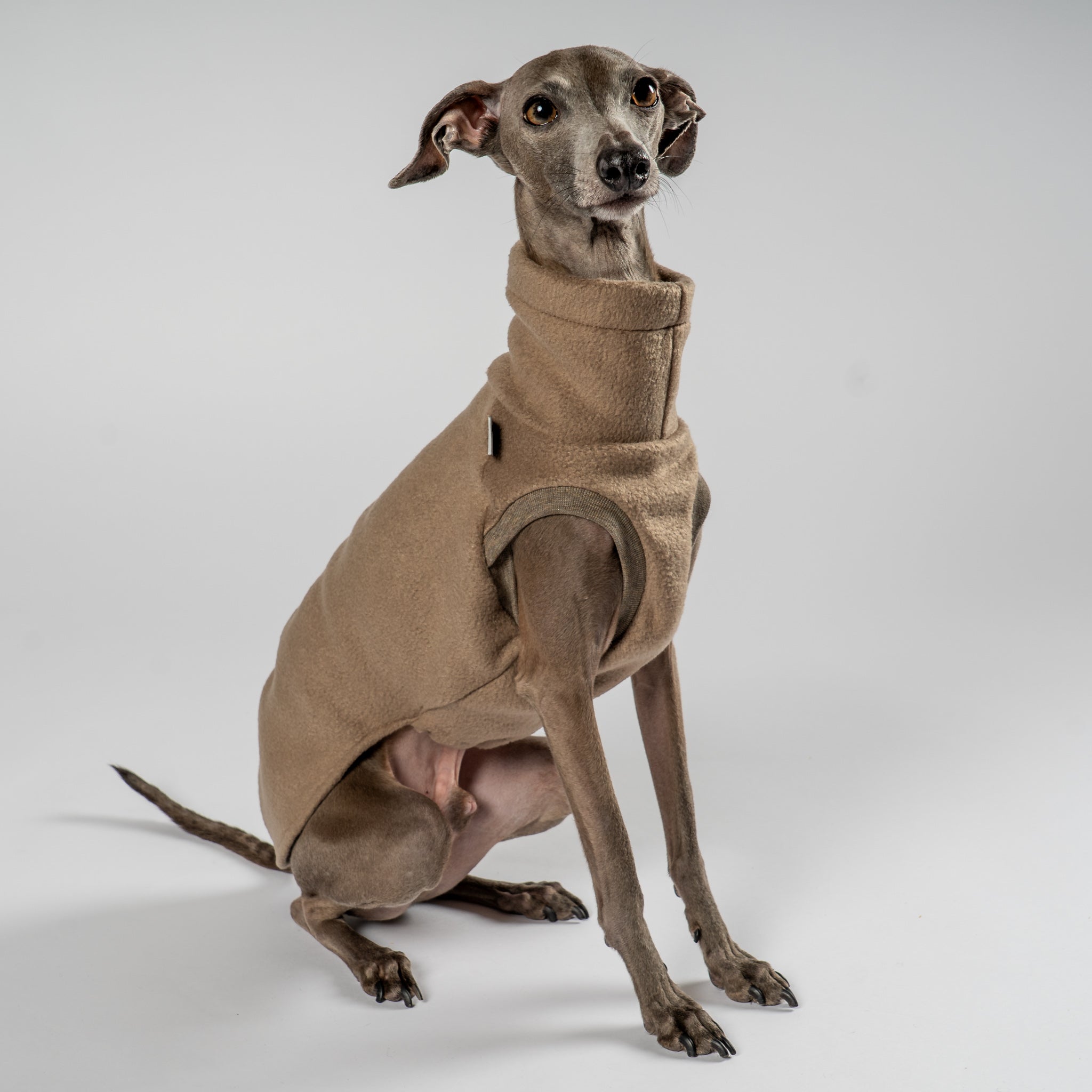 FLEECE SHIRT Iggy Walnut